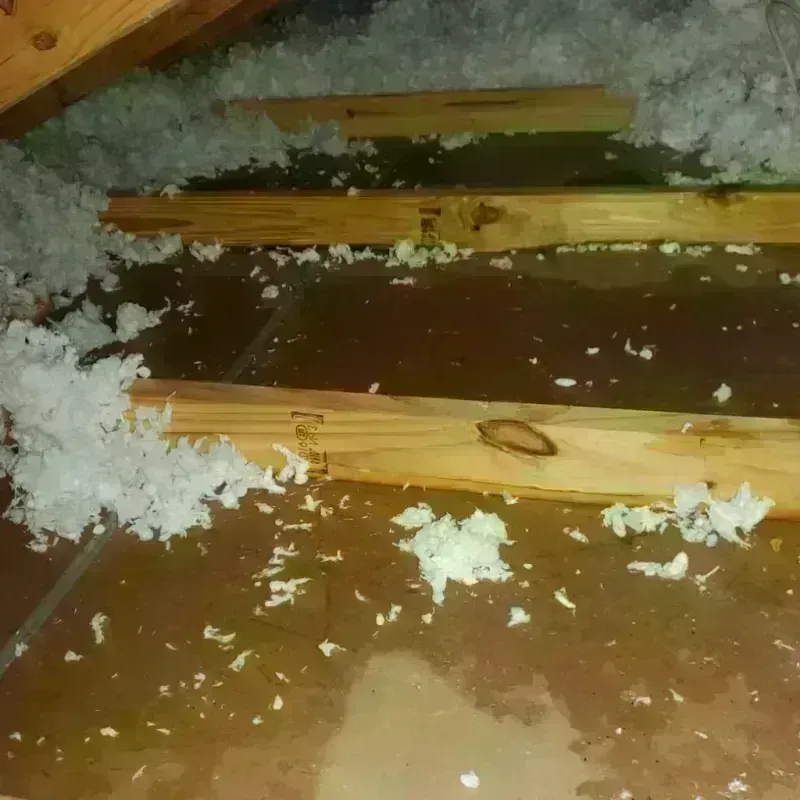 Attic Water Damage in Blanding, UT